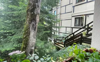 Pensiune Sinaia Langa Castelul Peles | Investitie sigura. - Poză 14