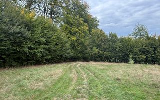 Teren de vânzare în Putna | 6.400 mp | 56 m front stradal - Poză 6