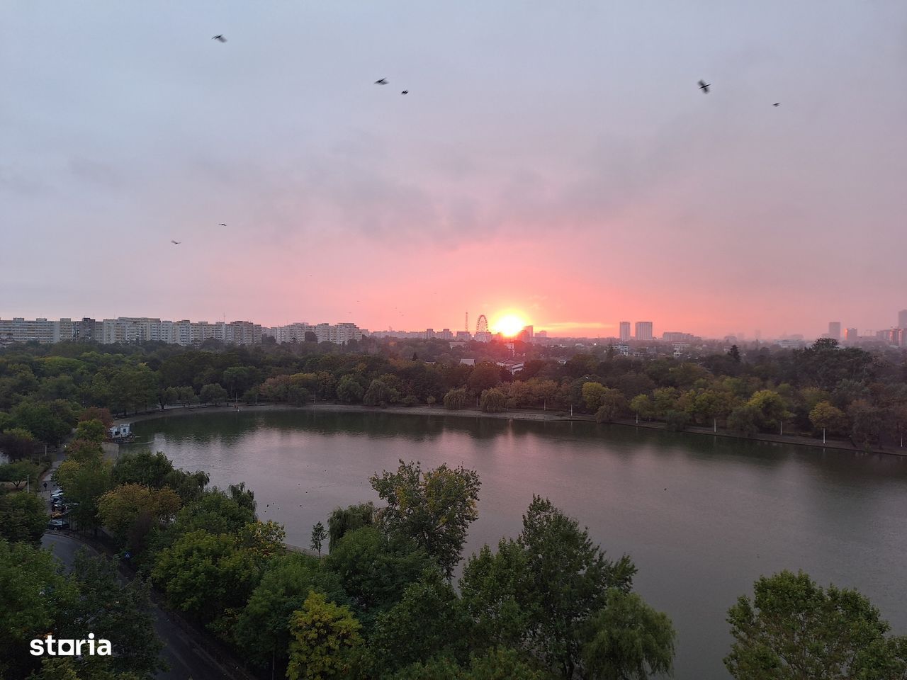 Apartament 3 camere de inchiriat - Poză 14