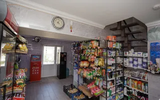 Vânzare, casă + afacere, str. Cetatea Albă, Botanica - Poză 32