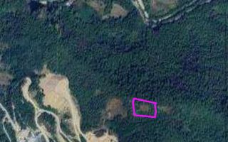 Teren pădure 64000 mp Pietroasa spre Boga - Poză 3