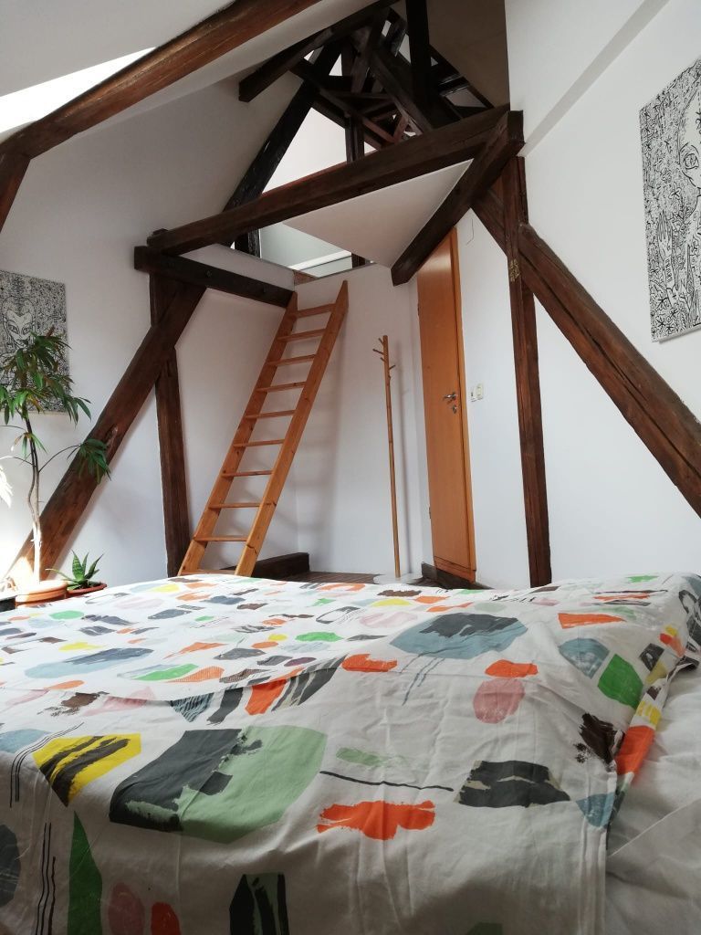 Apartament 4 camere | 175 mp | Bulevardul Victor Babeș | Ideal pentru - Poză 4