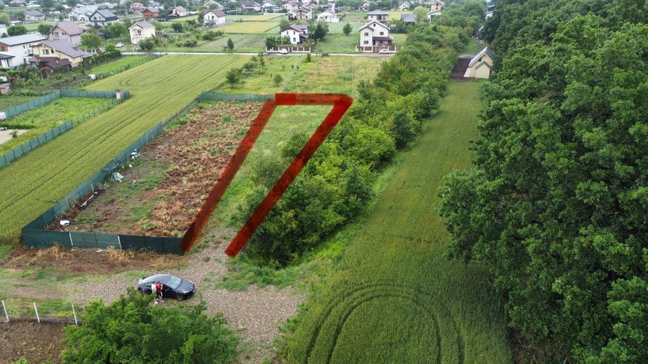 Teren superb Moara Vlasiei - langa padure (COMISION ZERO) - Poză 4