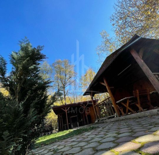 Dubla oportunitate la pret de una- Cabane de poveste Valea Avrigului - Poză 5