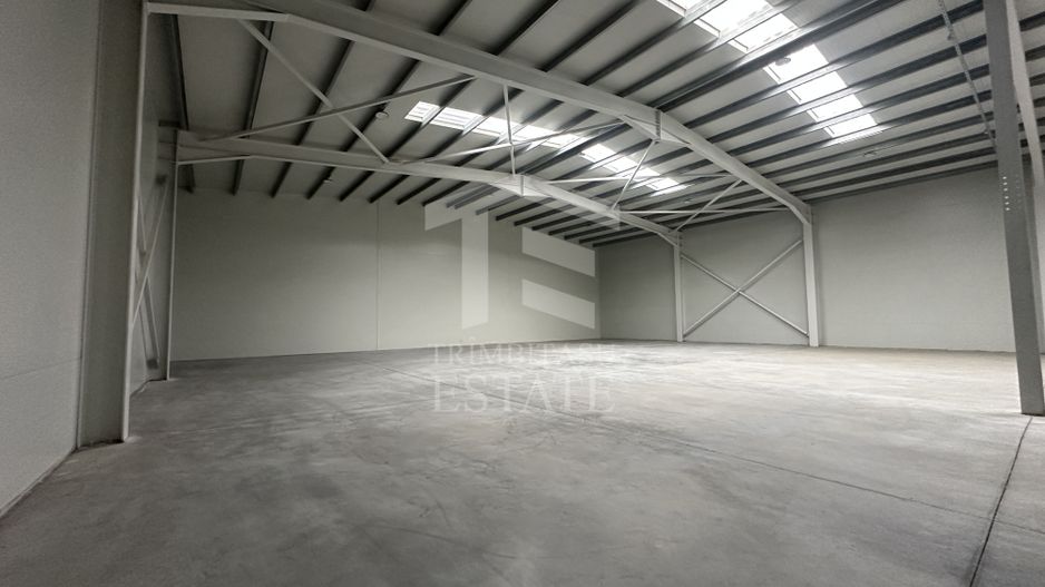 CENTURA - Rudeni | HALA 510 mp| Birouri 60mp | Parc Industrial nou - Poză 4