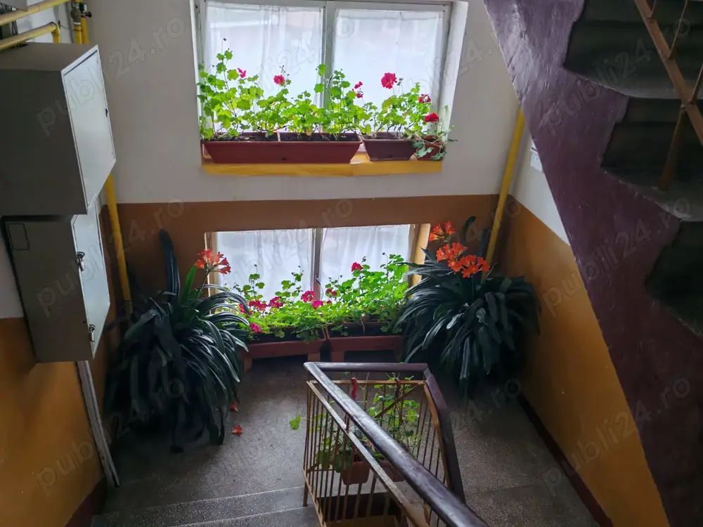 BRASADAS vinde ap cu 3 cam etaj 4/4 pe Drumul Botizului - Poză 7