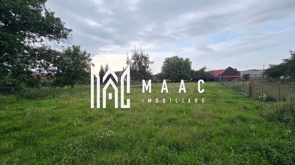 Casă 3 camere | Arpașu de Jos | 120 mp utili, teren 2600 mp, DN1 - Poză 3