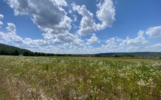 Teren de vanzare in Coas, zona linistita - Poză 5