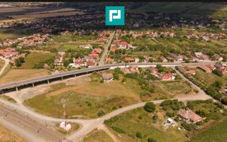 Teren intravilan 10.000 mp. în Pauliș - Poză 7