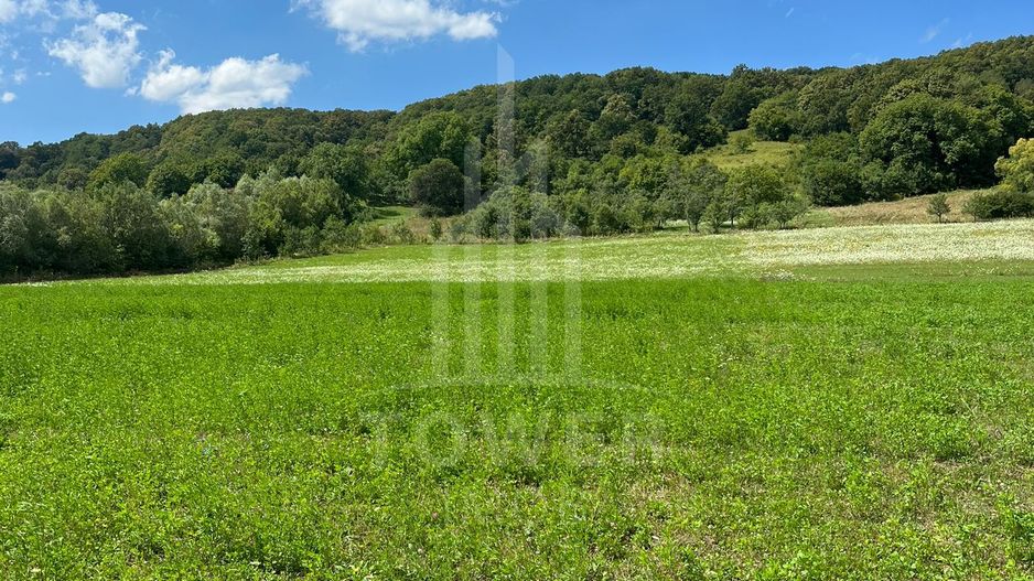Teren extravilan de vânzare la ieșire din Bradu-Sibiu - Poză 2