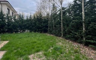 Vila individuala cu 5 camere Otopeni - Poză 5