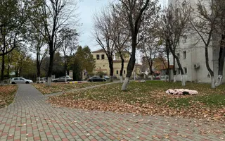 Apartament 2 camere  decomandat Hala Centrala - Palas Mall - Poză 22