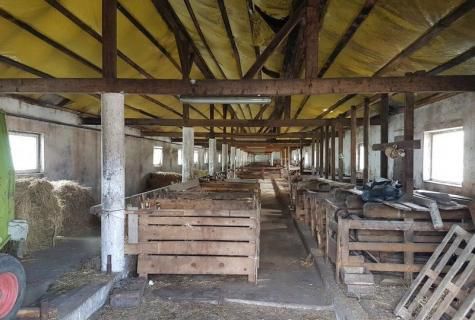 spatiu industrial Sieu judet Bistrita Nasaud - Poză 3