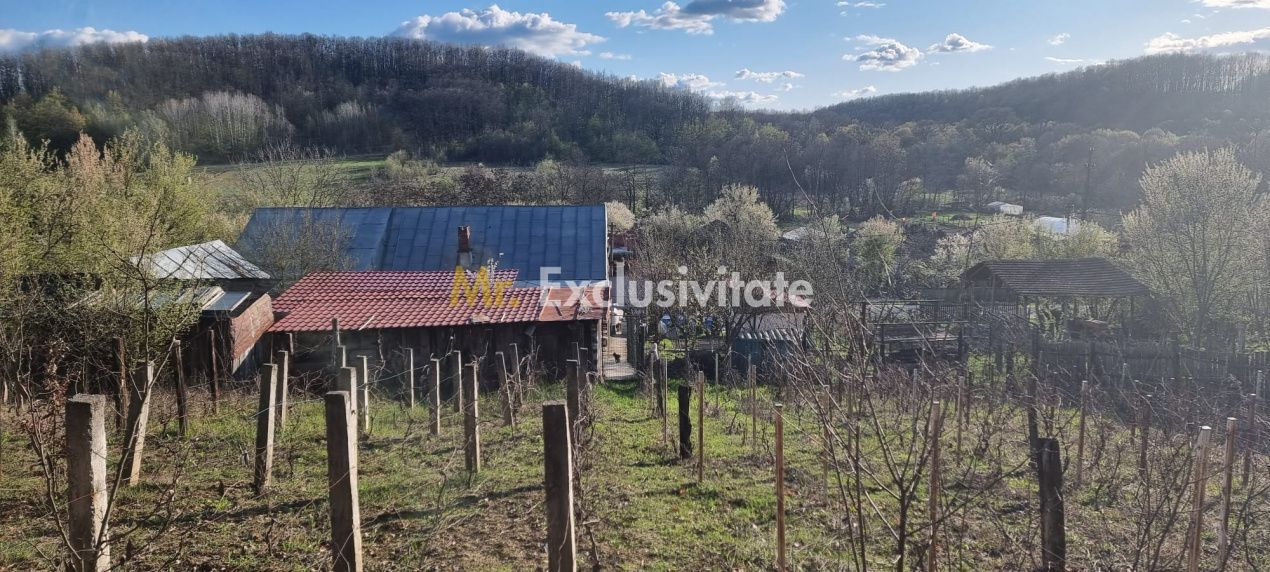 Casă P+M cu 1.558 mp teren, livadă și garaj - Poză 18