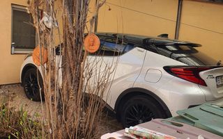 Casa de inchiriat - Domenii - Poză 9