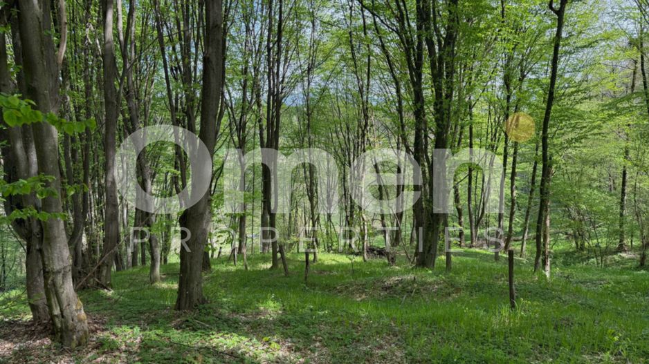 Ideal pentru cabana | zona de camping - Poză 2