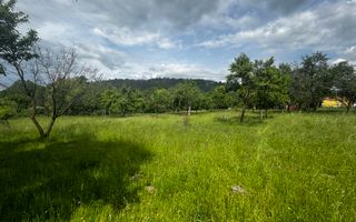 TEREN INTRAVILAN 4600 MP, VOINESTI, LERESTI, ARGEȘ - Poză 1