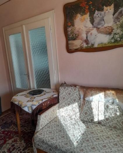 BRASADAS vinde casa cu etaj, 4 camere, central, acces cu masina. - Poză 14