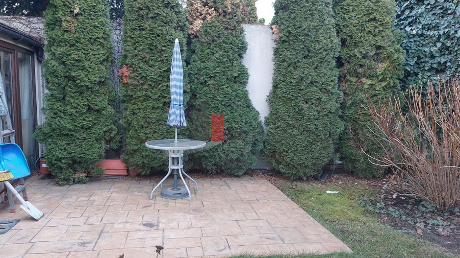 Casa "BEGIRA", Mosilor-Foisorul de Foc, curte individuala, birou/comercial - Poză 23