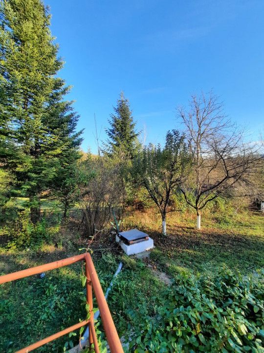 Casa 4 camere, teren 1960m2, CT, Provita, Prahova - Poză 24