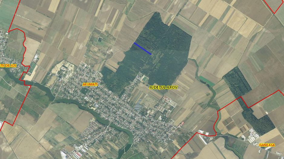 Teren 10,000mp Afumati | Padure | Soseaua Petrachioaia - Poză 2