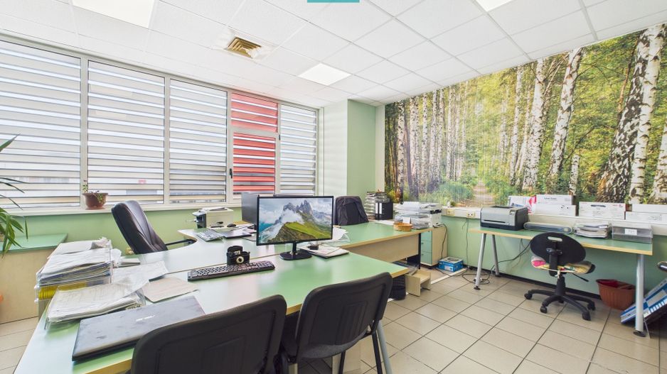 Hală industrială modernă, Șagului - Poză 10