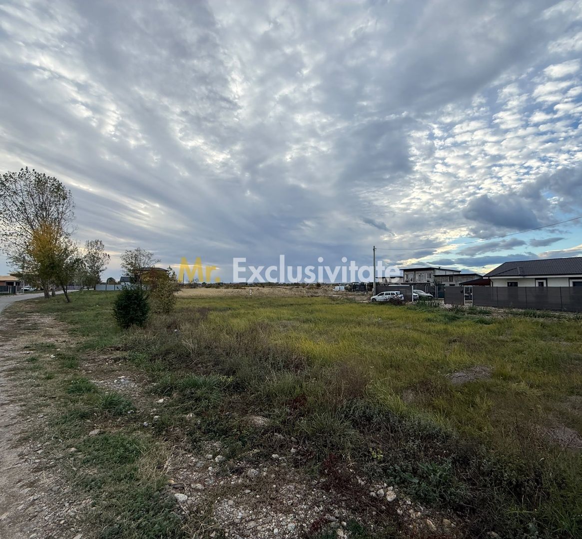 TEREN INTRAVILAN 3 LOTURI | 1.334 MP | BRADU | POTENȚIAL INVESTIȚIONAL - Poză 1