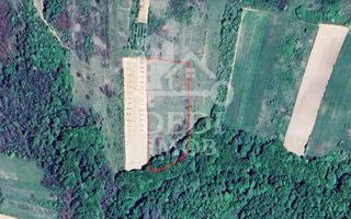 Teren 1 EURO/mp de vanzare in Tileagd-Balaia, Bihor - Poză 1