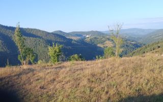 Teren pretabil constructie cabane in Garda de Sus - Poză 2