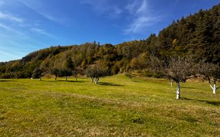 Teren Moieciu 8206 mp - Oportunitate de investitie - Poză 8