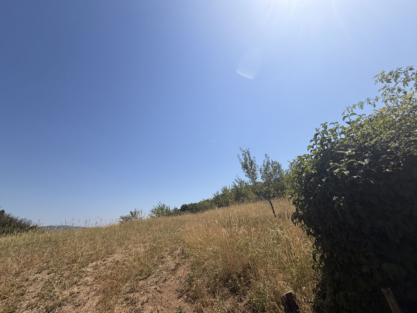 Teren de vanzare intravilan | Moigrad-Porolissum - Poză 1