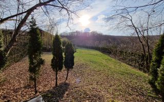 Casa din lemn D+P+M de 400 mp utili si teren 3.000 mp zona Faget - Poză 34