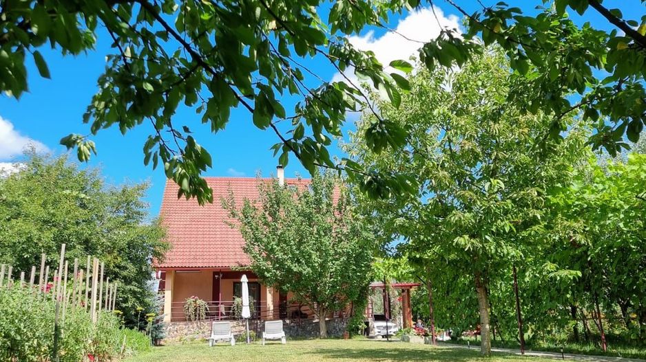 CASA+TEREN, ZONA SUD - Poză 17