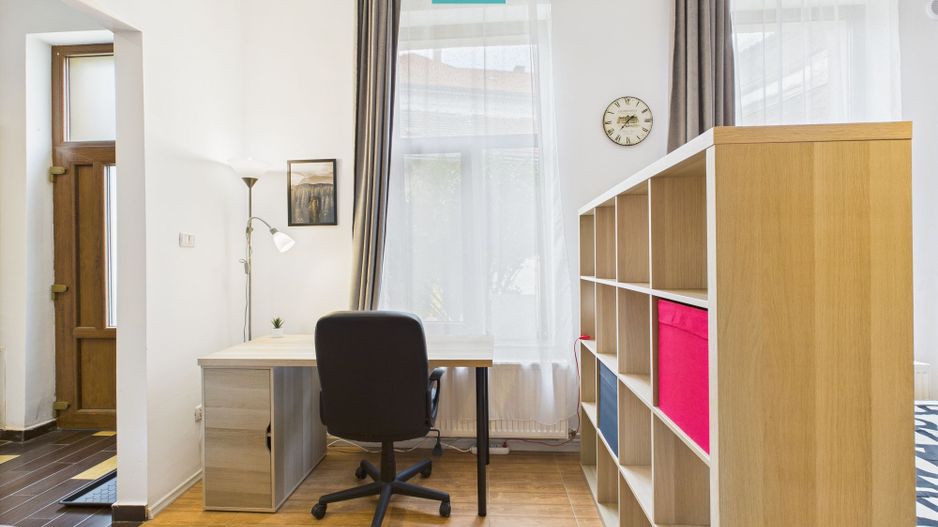 Apartament cozy cu o cameră, zona centrală - Poză 9