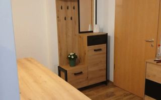 Apartament 1 camera Aradului -Spital Premiere - Poză 1