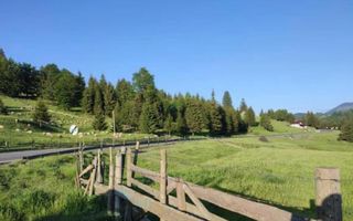 Teren PIATRA FANTANELE - 11.800 mp- ideal investitie, pensiune, hotel - Poză 1