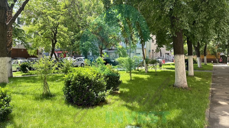 ACASA - unde infloresc teii - Poză 14