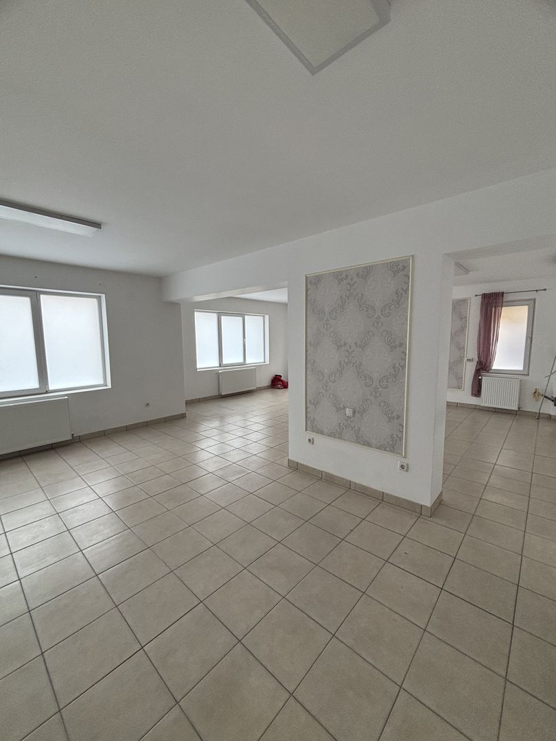 Spațiu zona Mehala - Poză 13