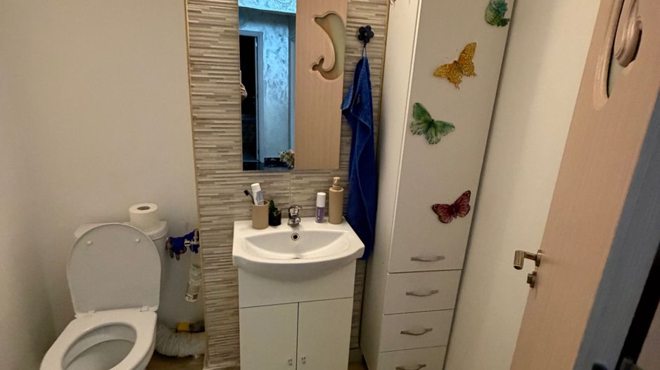Vanzare Apartament 3 camere 73 mp, etaj 1, 2 băi, balcon, parcare, Drumul Sării - Poză 8
