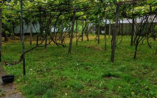 Casă bătrânească locuibilă. - Poză 8