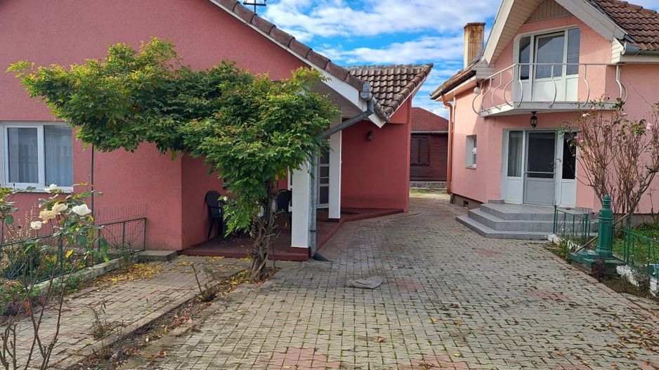 OFERTA in Băcia. Hunedoara ! Proprietate 2 case + Cabană - Poză 3