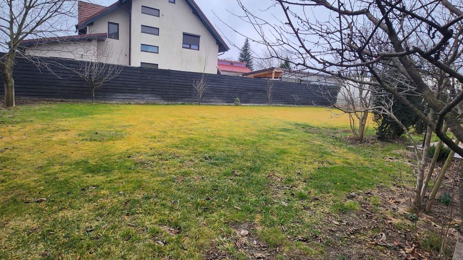 Vila cu piscina Snagov Ciofliceni - Poză 29