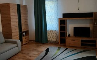 Apartament 1 camera Aradului -Spital Premiere - Poză 2