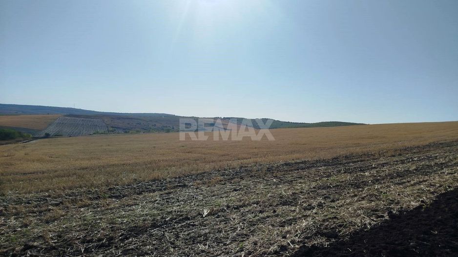 Teren Agricol de Vânzare (Extravilan, 182 Ari) –în mun. Chișinău, or. Sîngera  -Investiție cu Potențial ! - Poză 6