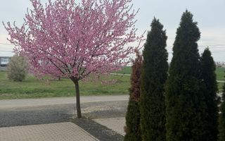 Casa la prima inchiriere cu 3 camere - Poză 24