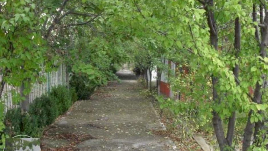 Teren la 35 km de Bucuresti - Izvorani - Ciolpani - Poză 5