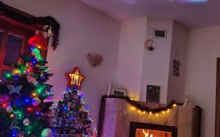 Vilă cu 8 camere de vânzare, piscina, livada, iesire la Balta Pasarea - Poză 10