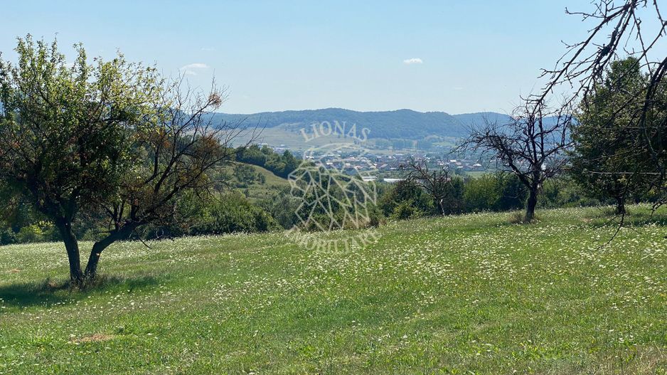 Teren 11.000 mp-ideal cabana/ferma-Unirea-Valea Slatinitei - Poză 5