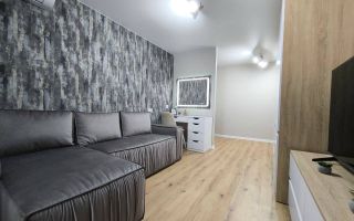Vânzare, apartament, 1 cameră, str.  Independentei, Botanica - Poză 3