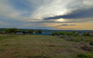 Teren intravilan 1000 mp, Visani, Str. Dealul Craitelor, zona rezidentiala, Iasi - Poză 3